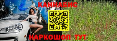амф Заволжье