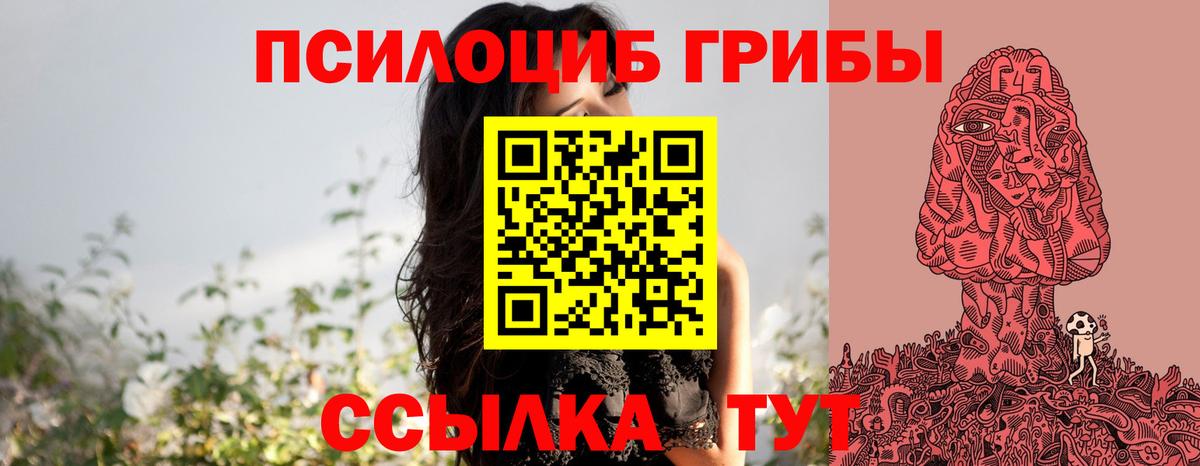 Галлюциногенные грибы прущие грибы Курчалой