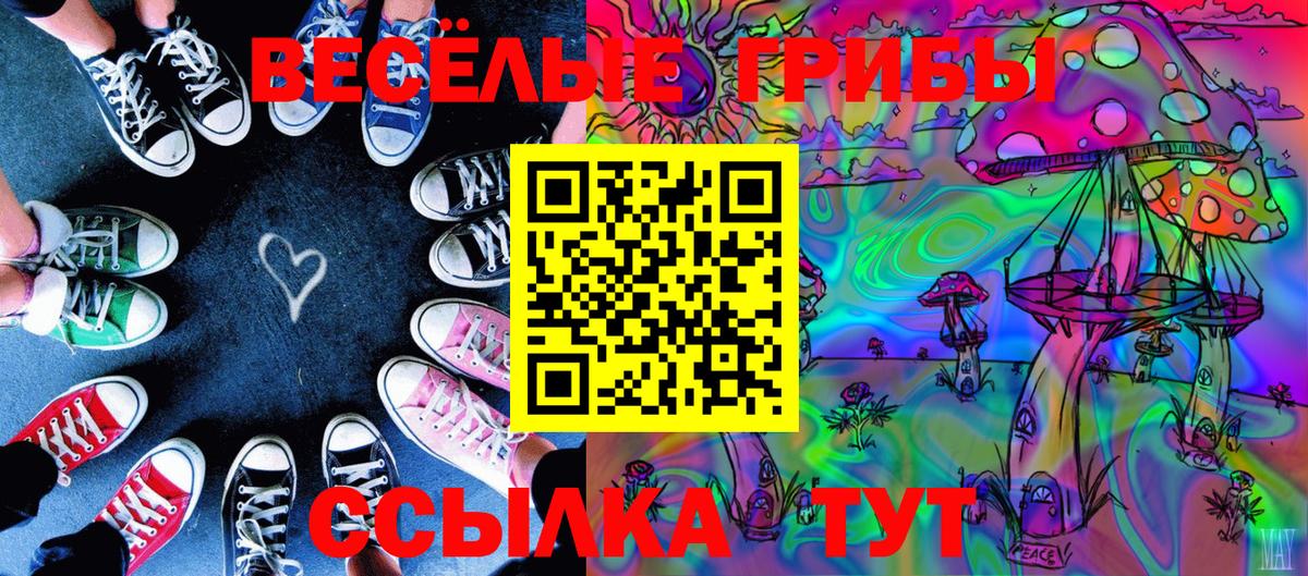 Псилоцибиновые грибы мицелий  Вход с VPN  Псилоцибиновые грибы ЛСД  Курчалой 