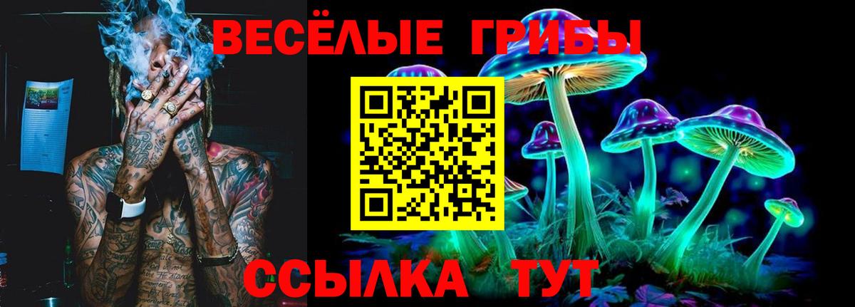 MDMA  Вход с VPN  Кокаин  Курчалой  Экстази  ГАШИШ  Конопля  ГАШИШ  Меф  