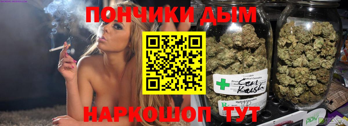 Бошки Шишки планчик Курчалой